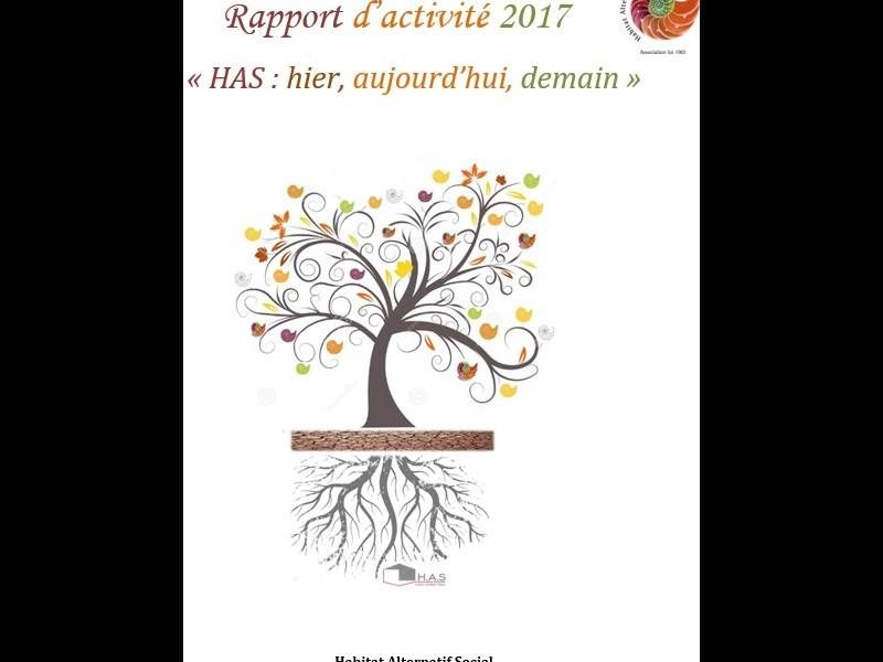 rapport d'activité 2017 HAS